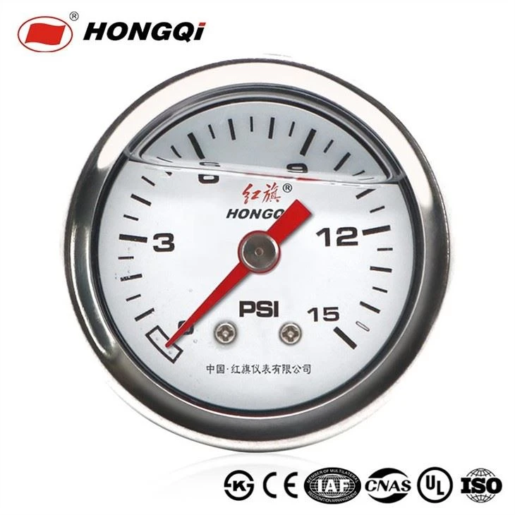 Sanitary stainless steel 304 pressure gauge